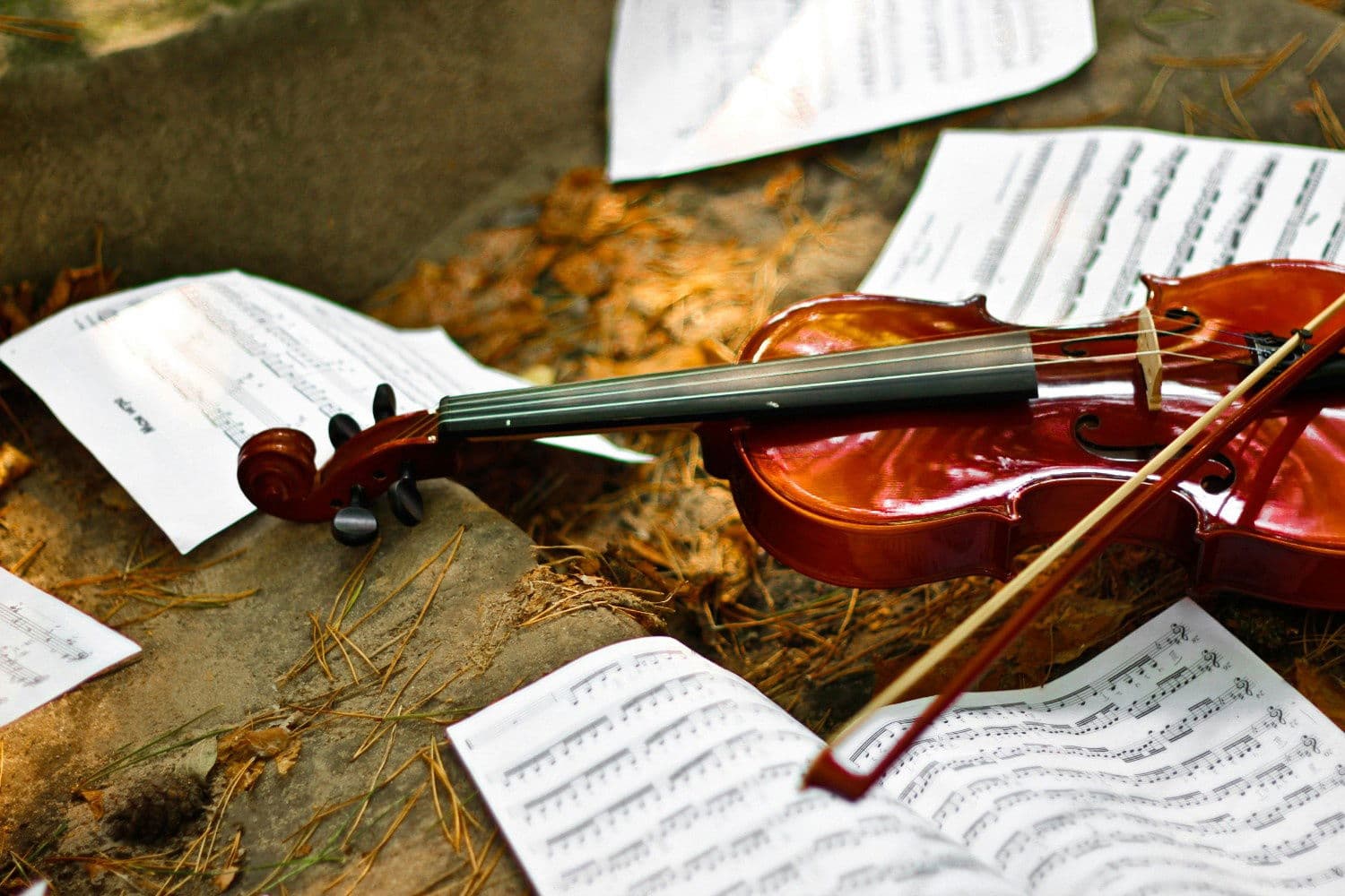 A Symphony Of Styles: Decoding Classical Music Genres